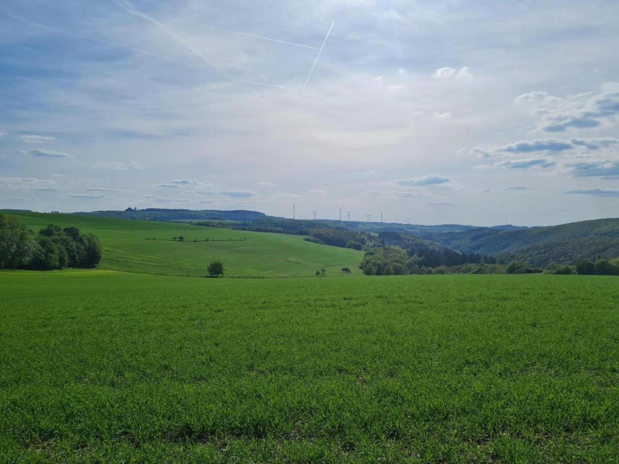 Tranquil Holiday Home In Filz In The Eifel With Garden Εξωτερικό φωτογραφία